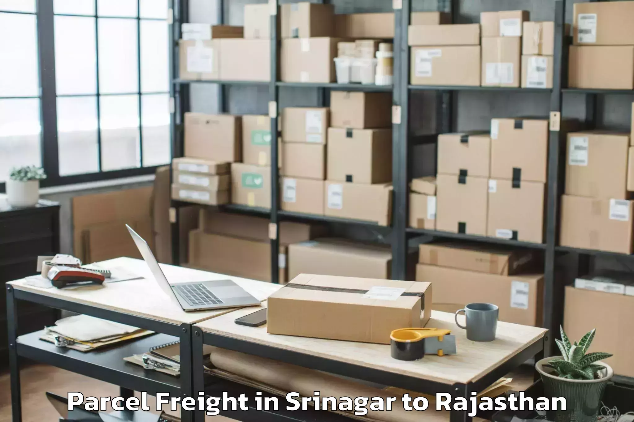 Easy Srinagar to Central University Of Rajastha Parcel Freight Booking